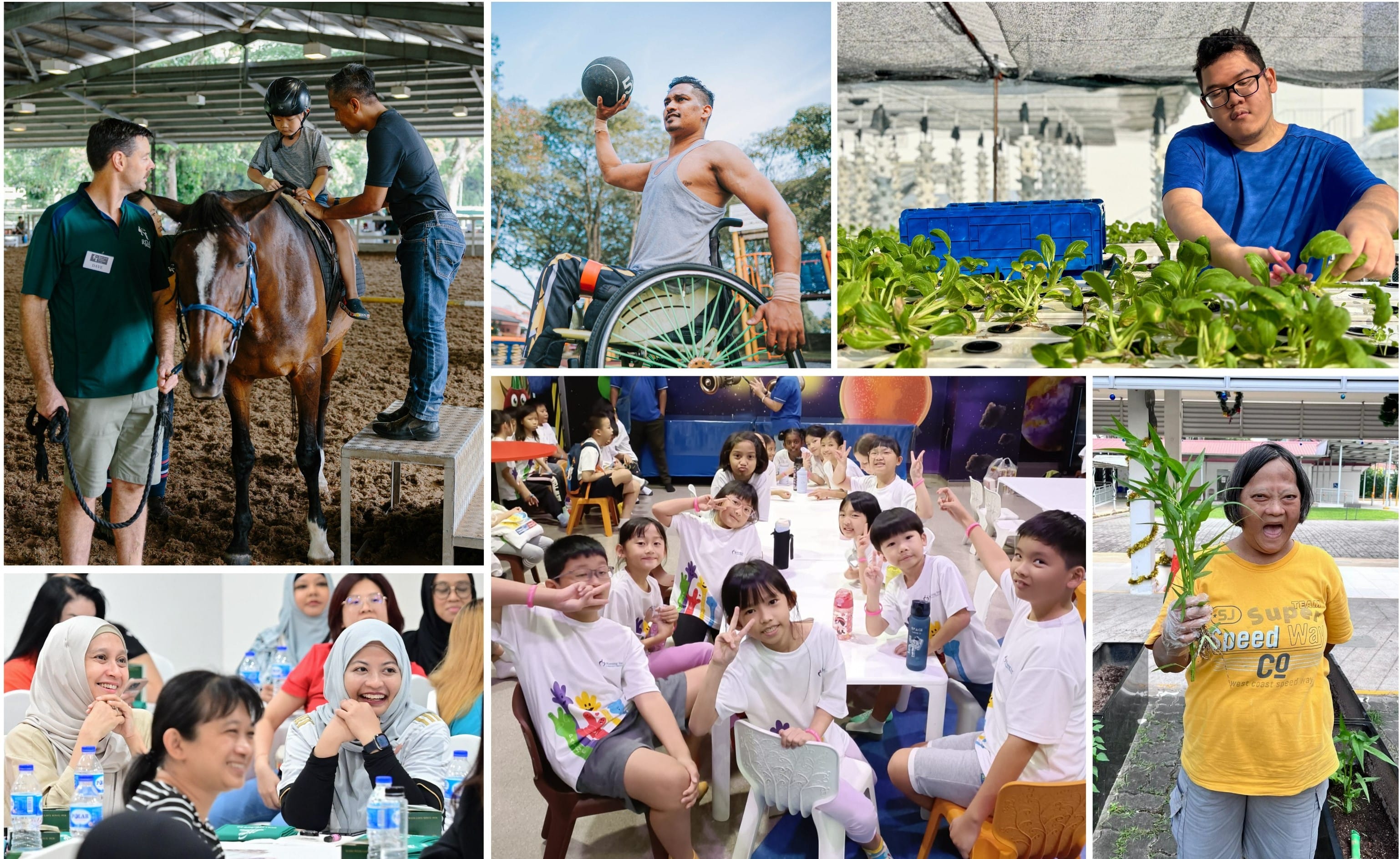 Collage of beneficiaries engaging in different activities provided by President's Challenge supported agencies.